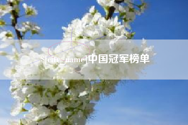 延安中国冠军榜单