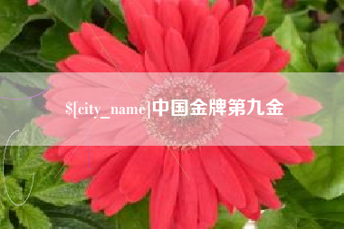 延安中国金牌第九金