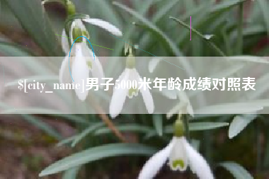 延安男子5000米年龄成绩对照表