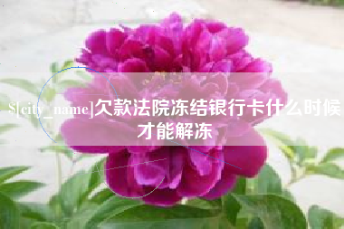延安欠款法院冻结银行卡什么时候才能解冻