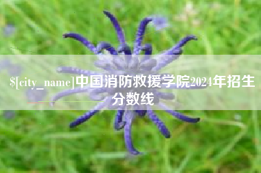 延安中国消防救援学院2024年招生分数线