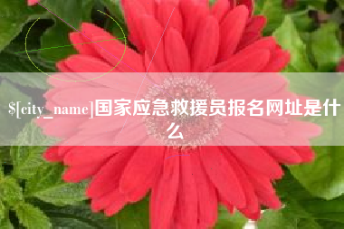 延安国家应急救援员报名网址是什么