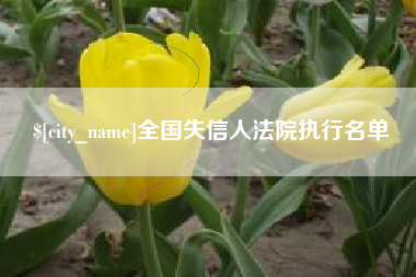 延安全国失信人法院执行名单