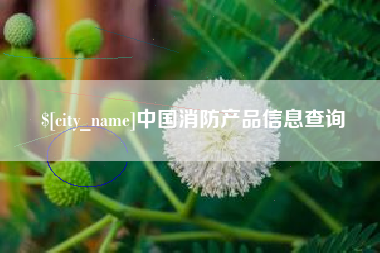 延安中国消防产品信息查询