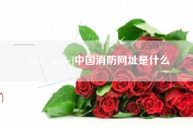 延安中国消防网址是什么