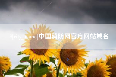 延安中国消防网官方网站域名