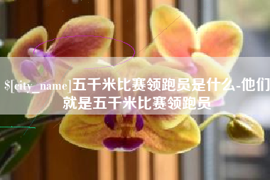延安五千米比赛领跑员是什么-他们就是五千米比赛领跑员