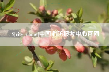 延安中国消防报考中心官网