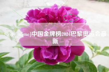 延安中国金牌榜2024巴黎奥运会最新