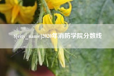 延安2020年消防学院分数线