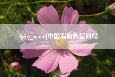 延安中国消防救援网站