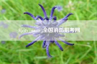 延安全国消防招考网