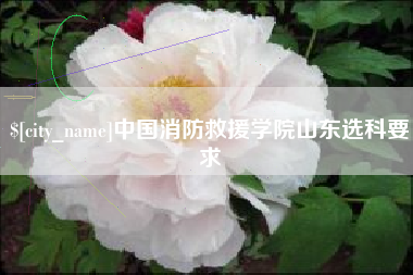 延安中国消防救援学院山东选科要求