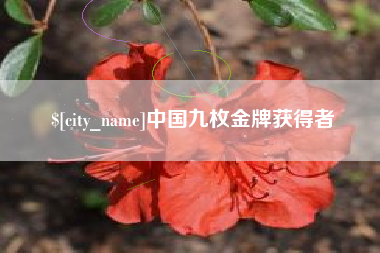 延安中国九枚金牌获得者