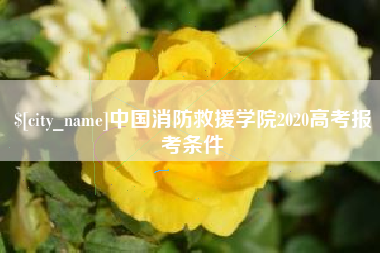 延安中国消防救援学院2020高考报考条件
