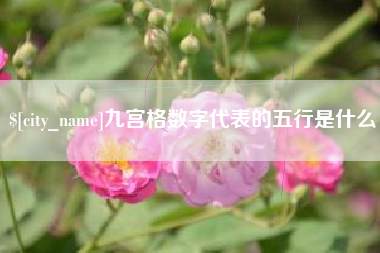 延安九宫格数字代表的五行是什么