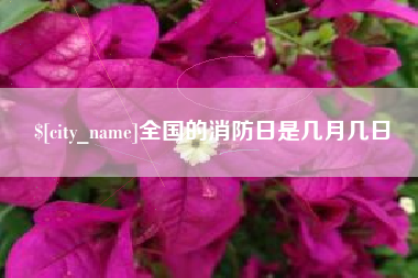 延安全国的消防日是几月几日