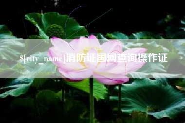 延安消防证国网查询操作证