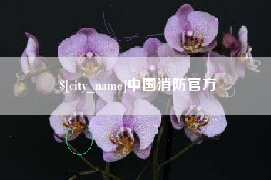 延安中国消防官方