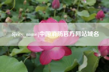 延安中国消防官方网站域名
