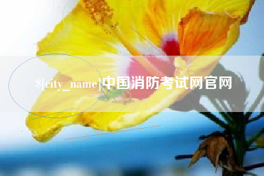 延安中国消防考试网官网
