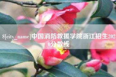 延安中国消防救援学院浙江招生2020分数线