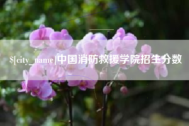 延安中国消防救援学院招生分数