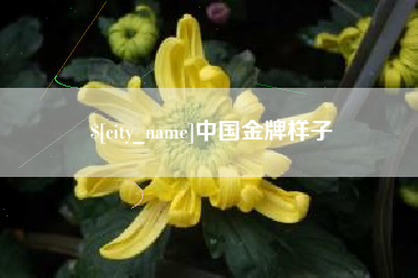 延安中国金牌样子