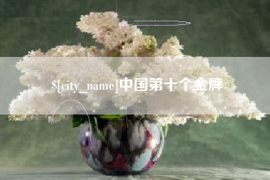延安中国第十个金牌