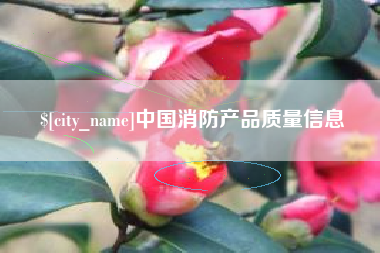 延安中国消防产品质量信息