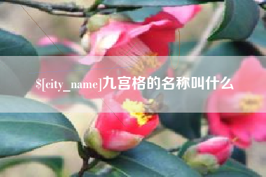 延安九宫格的名称叫什么