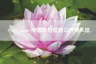 延安中国执行信息公开网失信