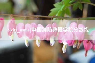 延安中国消防救援学院分数线