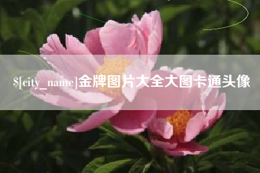 延安金牌图片大全大图卡通头像