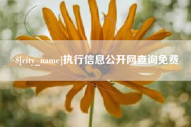 延安执行信息公开网查询免费