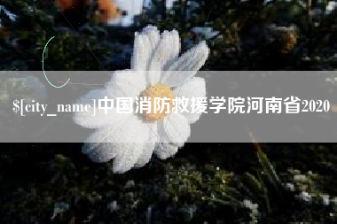 延安中国消防救援学院河南省2020